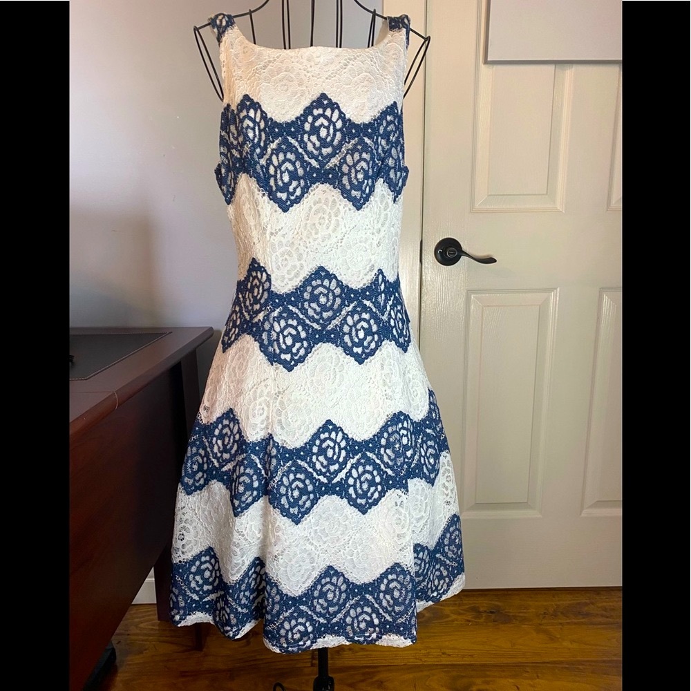Indigo Rose Sleeveless Dress